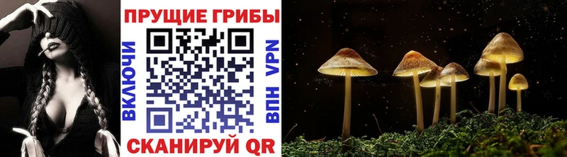 Псилоцибиновые грибы MAGIC MUSHROOMS  Харабали 